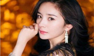 娱乐圈最富的,揭秘财富背后的故事