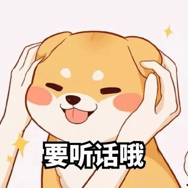 听话粉表情包,网络时代的情感共鸣与趣味传递