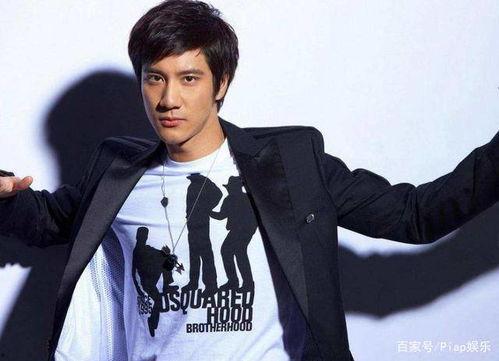 娱乐圈王力宏,音乐梦想与人生波折的娱乐圈传奇